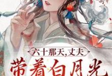 宋瑛小说六十那天，丈夫带着白月光回府了在线阅读章节-贝壳文学