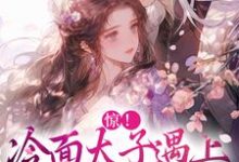 小说《惊!冷面太子遇上刁蛮女杀手》章节免费阅读-贝壳文学