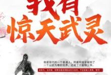 元枫慕云儿初天宇小说在线章节免费阅读(我有惊天武灵无弹窗无删减)-贝壳文学