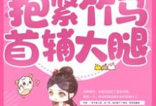 完整版的重生后，抱紧竹马首辅大腿小说在哪里可以免费读到？-贝壳文学