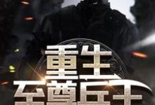 重生至尊兵王小说，重生至尊兵王章节在线阅读-贝壳文学