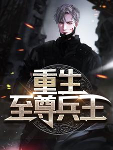 重生至尊兵王小说，重生至尊兵王章节在线阅读