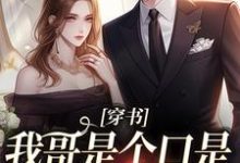 穿书：我哥是个口是心非的大妹控沈诺小说在线章节免费阅读-贝壳文学