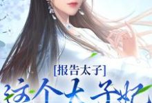 报告太子：这个太子妃好眼熟免费阅读，报告太子：这个太子妃好眼熟沈骊珠李延玺-贝壳文学