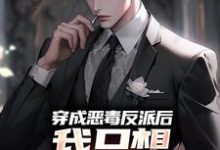 完结版《穿成恶毒反派后，我只想离婚保平安》免费阅读-贝壳文学