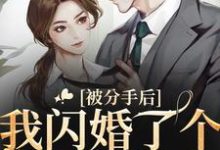 被分手后，我闪婚了个禁欲法医小说的无弹窗阅读体验，寻找免费阅读网站-贝壳文学