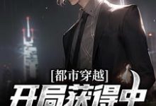 都市穿越：开局获得中医传承系统章节免费在线阅读，苏承壶完结版-贝壳文学