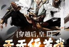穿越后，皇上天天缠着我参加科举小说有没有完结版在线？-贝壳文学