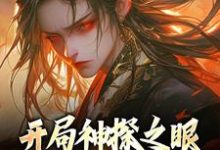 开局神探之眼,我在高武玩破案小说全文阅读需要付费吗?寻找免费资源-贝壳文学