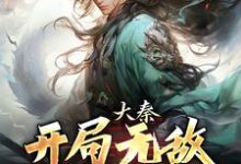 免费在线阅读大秦：开局无敌，爆爽横推！小说的正规网站有哪些？-贝壳文学