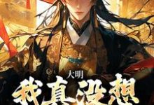 免费看大明:我真没想当皇帝!小说的网站有哪些?-贝壳文学
