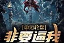 已完结小说《命运轮盘：非要逼我人前显圣》章节在线阅读-贝壳文学