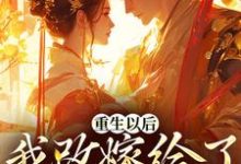 重生以后，我改嫁给了霸道九千岁沈南星傅九离小说在线章节目录阅读最新章节-贝壳文学