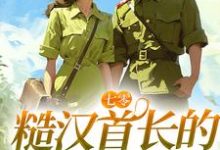 宋声声傅城小说七零：糙汉首长的疯批小娇妻在线阅读-贝壳文学