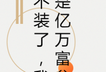 不装了,我是亿万富翁小说有没有完整的免费版本在线阅读?-贝壳文学