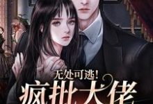 蔻里·杰森姜亦乔小说在线章节免费阅读(无处可逃!疯批大佬强制爱无弹窗无删减)-贝壳文学