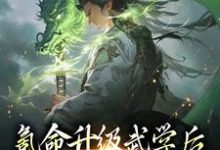 小说《氪命升级武学后，我砍妖王拿寿元》在线章节阅读-贝壳文学