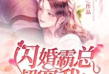 完结版《闪婚霸总超宠我》章节阅读-贝壳文学