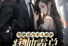 在线免费阅读明艳清冷美人娇软，痞帅霸总他超爱完整小说-贝壳文学