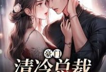《豪门：清冷总裁放肆宠》小说章节在线试读，《豪门：清冷总裁放肆宠》最新章节目录-贝壳文学