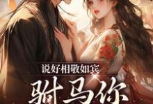 说好相敬如宾，驸马你干嘛宽衣赵玖鸢陆景珩，说好相敬如宾，驸马你干嘛宽衣在线无弹窗阅读-贝壳文学