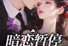 暗恋暂停,开始恋爱宋霜序贺庭洲在线章节免费阅读-贝壳文学