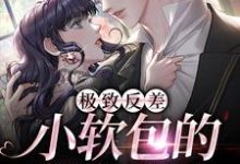在线寻找极致反差：小软包的疯批老公小说的无删减版本-贝壳文学