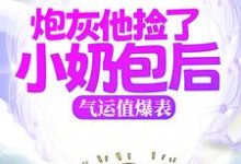 已完结小说《炮灰他捡了小奶包后，气运值爆表》在线章节阅读-贝壳文学