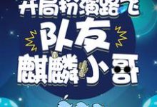 完结版《禁地探秘：开局扮演路飞，队友麒麟小哥》章节阅读-贝壳文学
