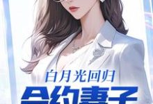 白月光回归，合约妻子和我离婚了小说完结版章节免费阅读-贝壳文学