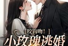 咬钩吻!小玫瑰逃婚后恃宠生娇小说,咬钩吻!小玫瑰逃婚后恃宠生娇最新章节-贝壳文学