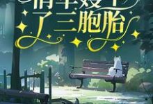 《七零：俏军嫂生了三胞胎》小说章节列表免费试读，江悦夏明远小说在线阅读-贝壳文学