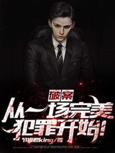 破案：从一场完美犯罪开始！小说阅读，破案：从一场完美犯罪开始！完结版