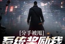 分手被甩，系统奖励我无上武魂小说的免费阅读版本在哪里可以找到？-贝壳文学