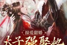 掠爱甜婚:太子强娶她入东宫小说完结版章节免费阅读-贝壳文学