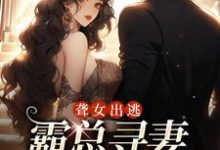 聋女出逃,霸总寻妻惊动全城夏时陆南沉小说大结局免费试读-贝壳文学