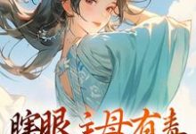 瞎眼主母有毒，不做也罢端木静姝在线章节免费阅读-贝壳文学