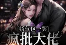 娇气包一哭，疯批大佬跪地宠小说完结了吗？在哪里可以免费读到？-贝壳文学
