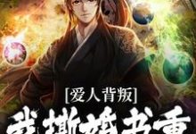 《爱人背叛，我撕婚书重振王府之威》小说章节列表免费试读，秦川赵书意小说在线阅读-贝壳文学