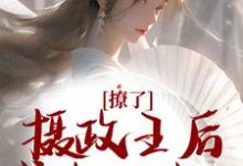 撩了摄政王后，我跑不掉了小说有没有完结版在线？-贝壳文学