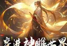 小说《穿进神雕世界，我成武林至尊》章节免费阅读-贝壳文学