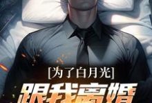 为了白月光跟我离婚，我走你哭啥小说有没有完整的免费版本在线阅读？-贝壳文学