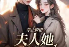 禁止撩情！夫人她又逃了免费阅读，禁止撩情！夫人她又逃了江柒茗贺政屿-贝壳文学