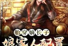已完结小说《胎穿嫡长子，娘家人配置无敌了》在线章节阅读-贝壳文学