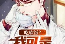 小说《吃软饭?我可是千古医圣》在线章节阅读-贝壳文学