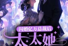 寻找闪婚亿万总裁后，太太她成了白富美小说的最新更新章节-贝壳文学
