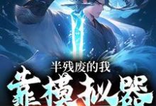 许系小说叫什么（半残废的我，靠模拟器重获新生免费阅读）-贝壳文学