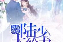 完结版《总裁掠爱：陆少，太给力》章节阅读-贝壳文学