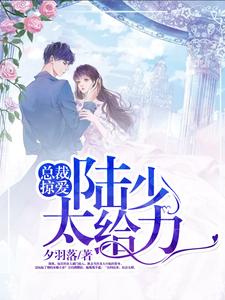 完结版《总裁掠爱：陆少，太给力》章节阅读