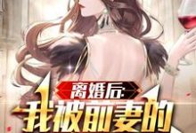 《离婚后:我被前妻的天后闺蜜倒追》小说章节列表免费试读,徐立小说在线阅读-贝壳文学